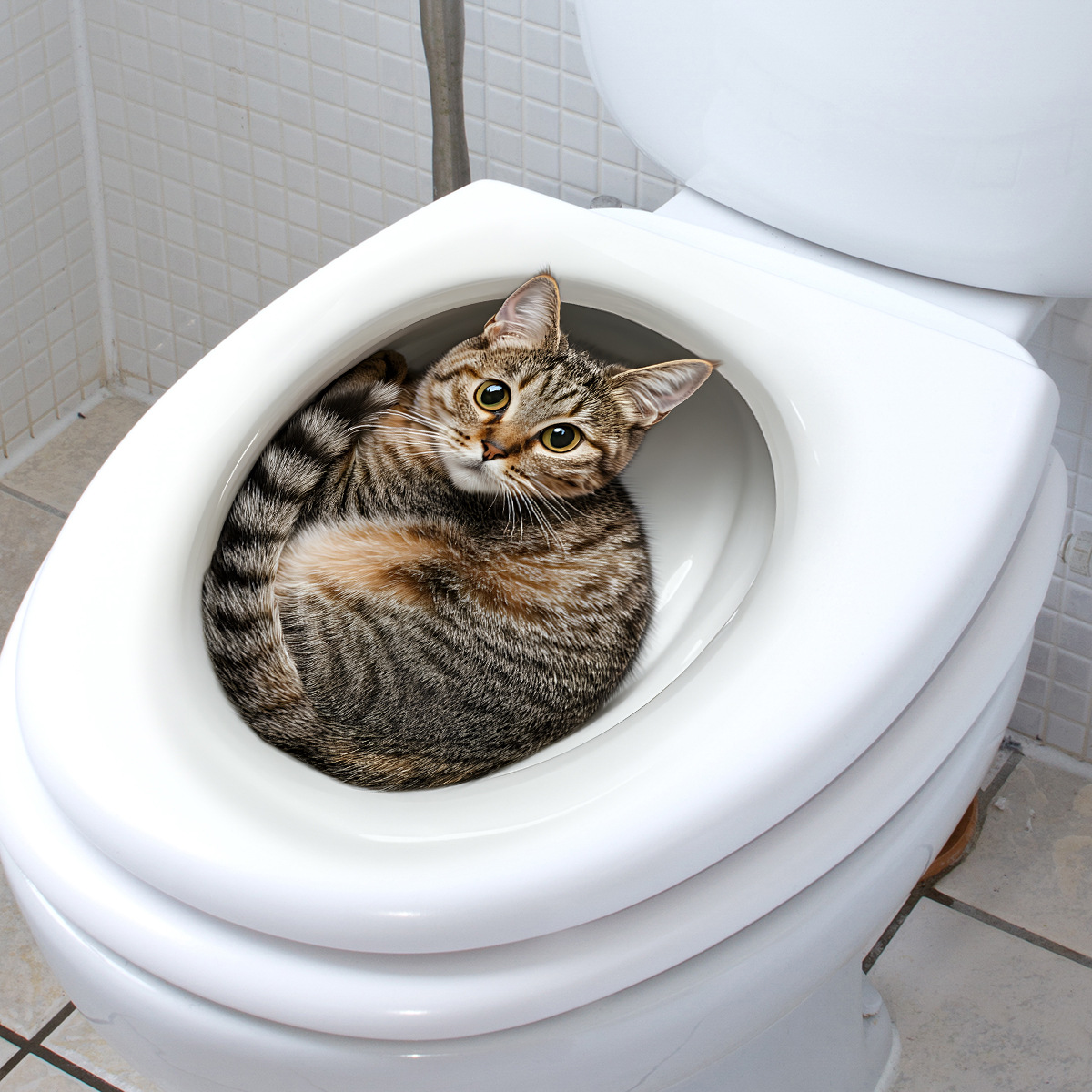 3D Funny Cat Toilet Sticker Ba - огляд і ціна Home Center Bathroom Accessories